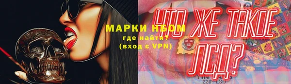 ECSTASY Белая Холуница
