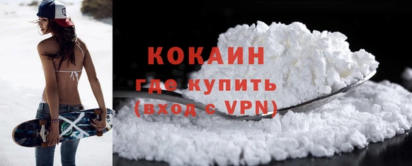 бошки Новозыбков