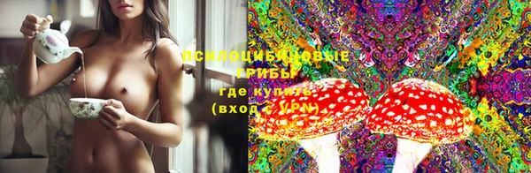 мдпв Новодвинск