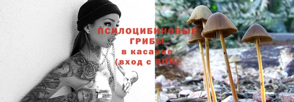 mdpv Липки