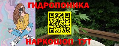spice Кинель