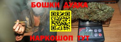 ГАЛЛЮЦИНОГЕННЫЕ ГРИБЫ Кингисепп