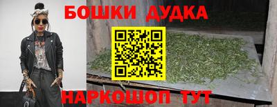 spice Кинель