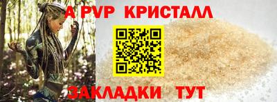 ГАЛЛЮЦИНОГЕННЫЕ ГРИБЫ Кингисепп