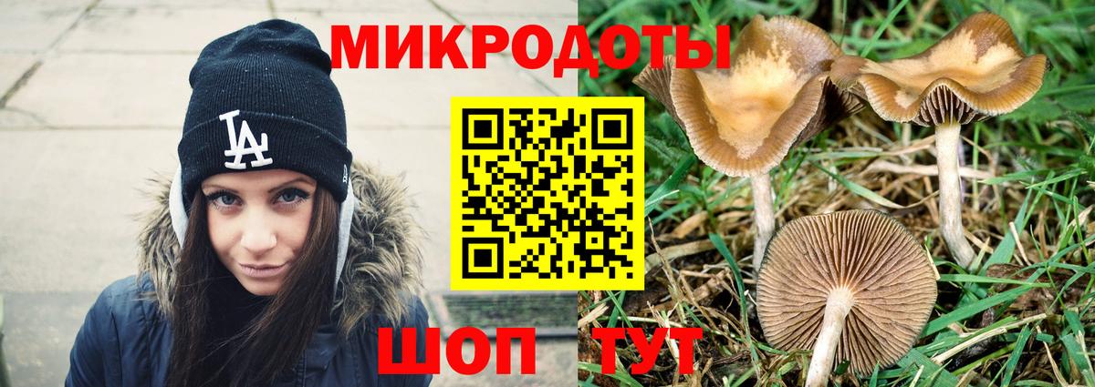 Галлюциногенные грибы Psilocybine cubensis Уварово